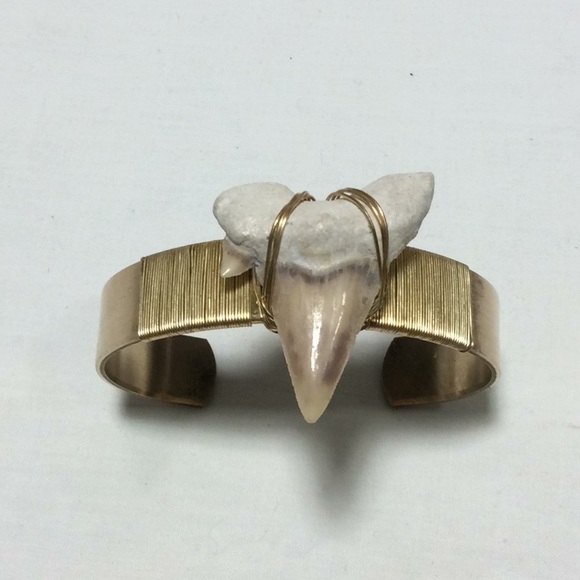 Jewelry - Shark Tooth Bracelet
